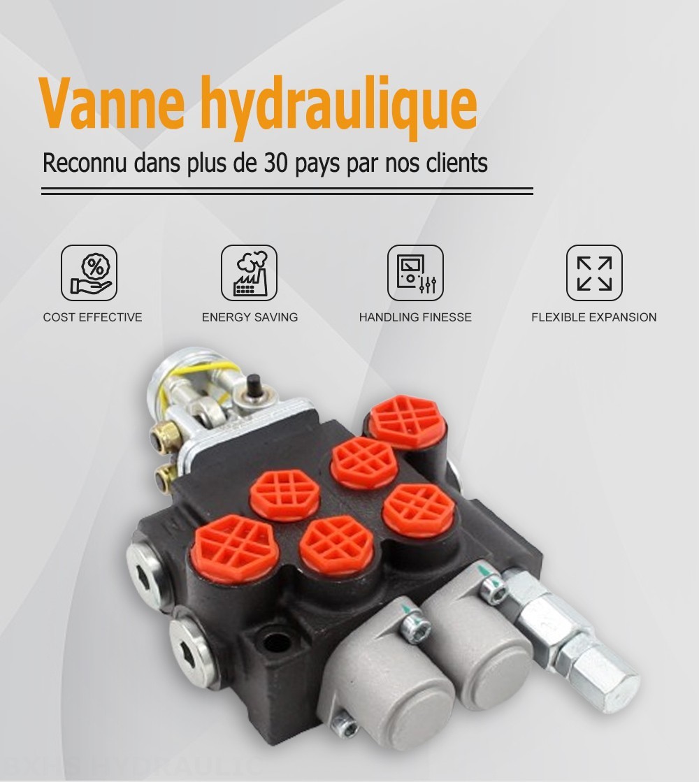 P40-2OT Manuel et manette 2 distributeurs Distributeur directionnel monobloc